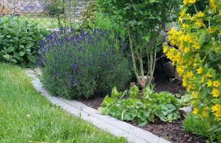 Moderne Fewo in perfekter Lage - Photo 18