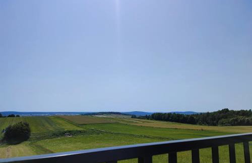 Agroturystyka Zdolina - Foto 45