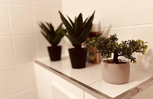 Cologne LUXE Living: Opulent Elegance Unleashed - Foto 30