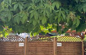 Ferienhaus Roßbachtal - Foto 30