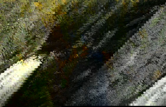 Gwin's Lodge & Roadhouse Est. 1952 - Foto 77