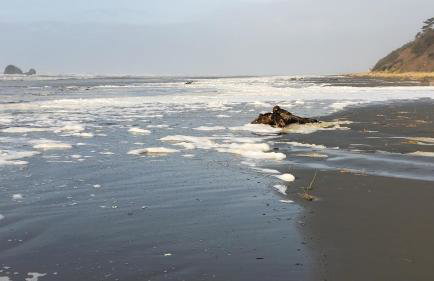 Rocks Cabin - Foto 36