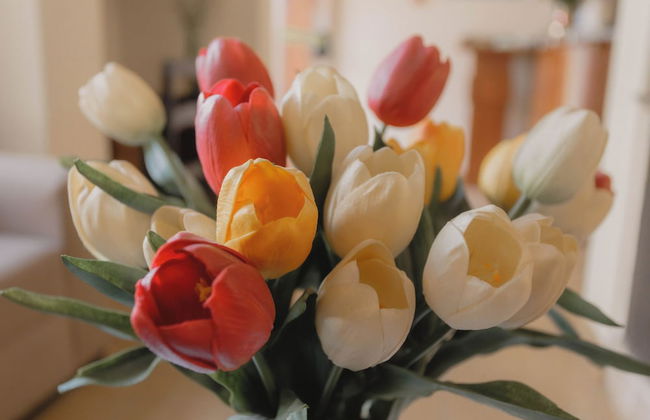 Quechua Aparhotel - Foto 73