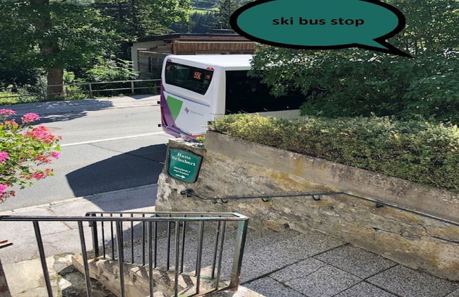 Schubert-Franz Top 12 - Foto 29