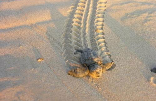 Stella d'Aurora waterview - Foto 37