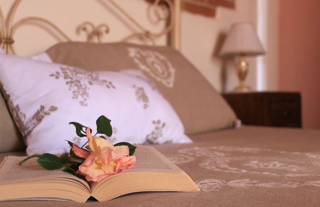 Agriturismo Terra di Cortona - Foto 8