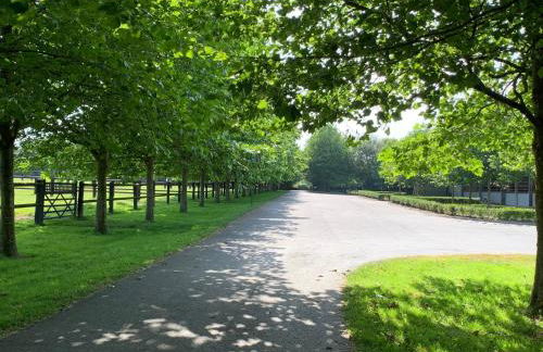 Holiday home Haras du Ry - Photo 51