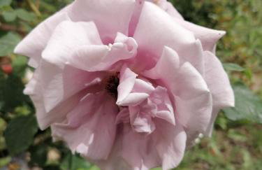 Makis Apartments - Foto 39