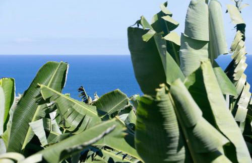 Hacienda Camino de La Cruzada - Foto 55