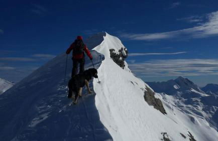 Agriturismo il Fiocco - Foto 25