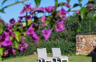 Green House - Foto 10