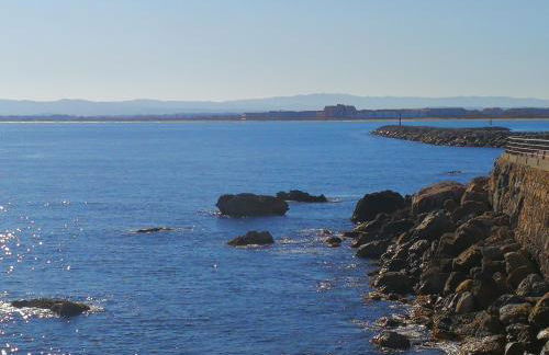 L´Estartit, estudio en primera linea de mar. - Foto 14