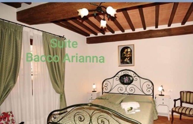 Affittacamere La Vite - Foto 18