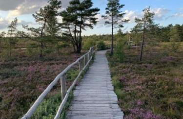 Altes Grabenhöfchen - 5 Sterne Ferienhaus - Foto 31