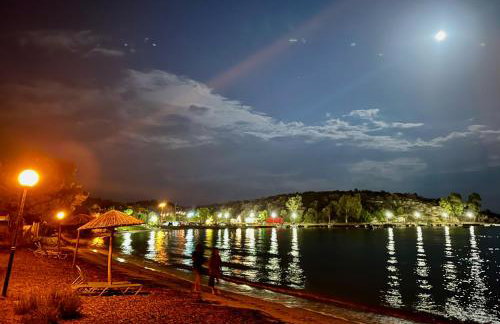 Alexander's - Foto 28