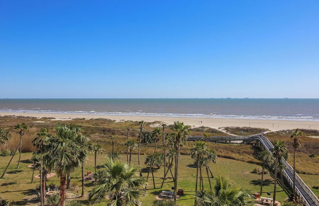 Galvestonian 409 - Pelican Pathway - Foto 3