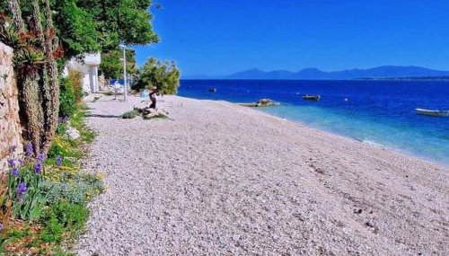 APARTMANI NOVA - Photo 5