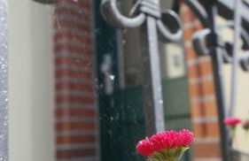 Appartements Neef - Foto 39