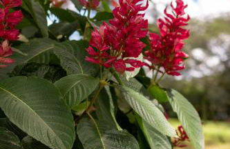 Pousada Rio Gouveia - Foto 98