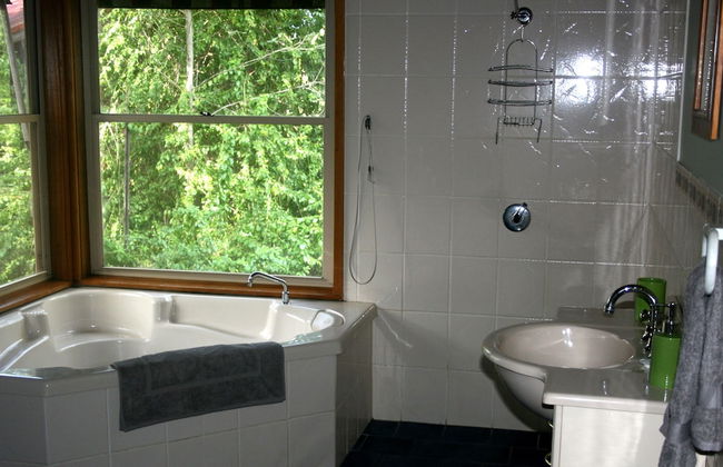 Bluegums Cabins Barrington Tops - Photo 47