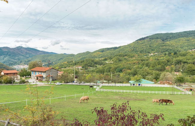 Secluded Chalet With Pool - Photo 38