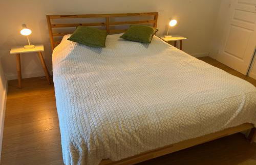 La Pistacherie à 30m de la plage de Grande Rive - Foto 20