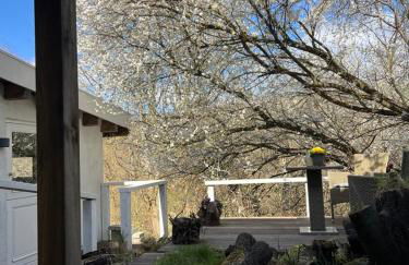 foresthaus - Foto 46