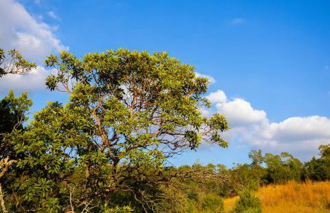 Monte Mahala - Two Unique Homes - Foto 85