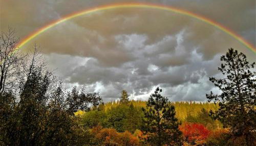 Tranquil Nature Retreat on 12 acres! - Foto 4