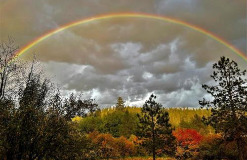 Tranquil Nature Retreat on 12 acres! - Foto 4