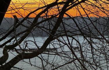 Das Blaue Haus - Foto 15