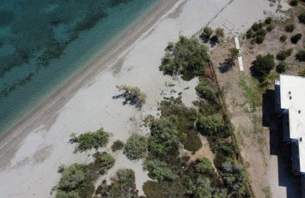 MariRena plaz - Foto 66