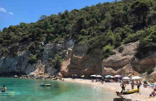 Gerania Villa - Foto 33