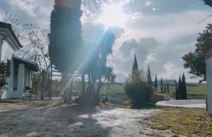 Las Brujas - Foto 25