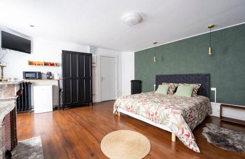 Appartement spacieux et élégant avec jardin - Foto 6