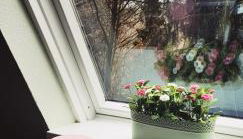 Ferienhaus Kleine Auszeit - Foto 3