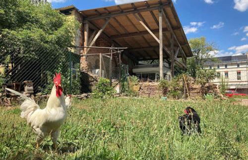 NEUES GESINDEHAUS (Rittergut Oelzschau b. Leipzig) - Foto 16