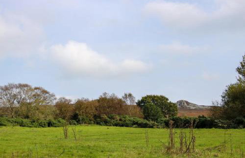 The Chicken Coop - Foto 25