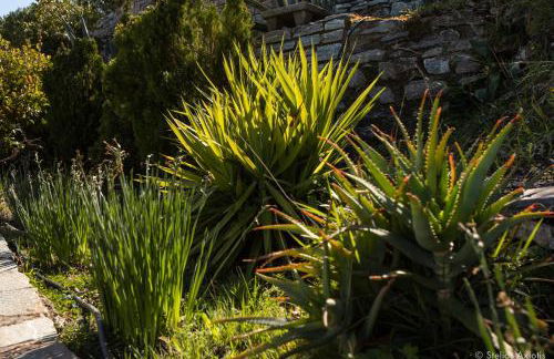 Aegean Panorama Apartments - Foto 39