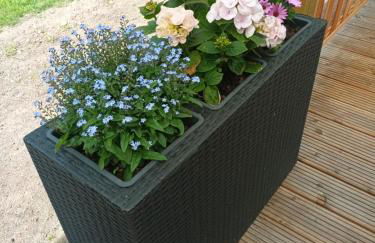 Chalet Ostfriesenruhe - Foto 5