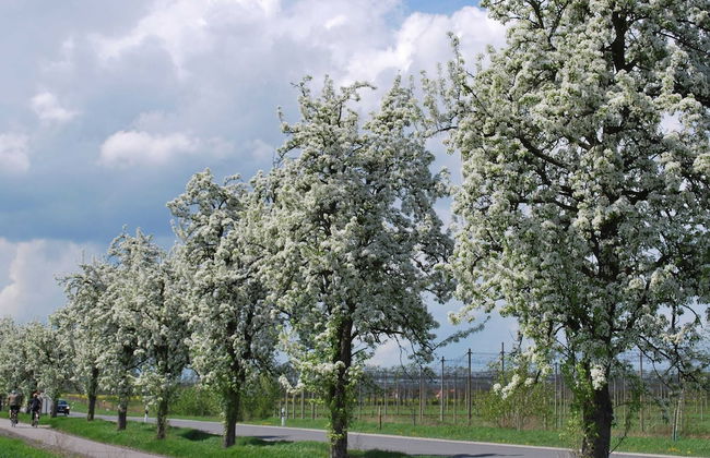 Relaxing Watermill Hideaway - Foto 23