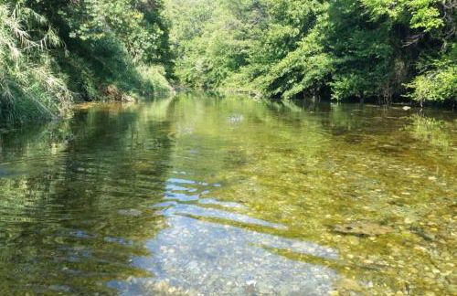 Character filled house overlooking the River Cesse - Foto 15