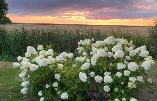 Marie Carla - Foto 58