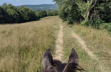 Bieszczadzka Chatka Gosia - Off Road , Quady , Jazda Konna - Foto 32
