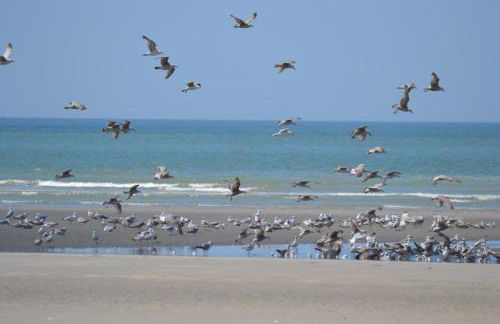 La Maison Rose - Foto 34