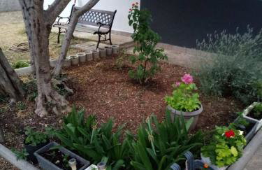 Apartments with parking space Kraj, Pasman - 8213 - Photo 7