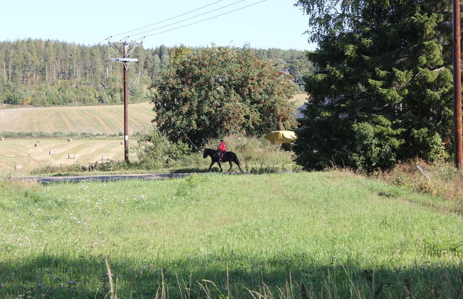 Happy Hudiksvall - Photo 58