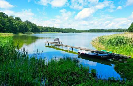 Cisowa Ostoja - Foto 1