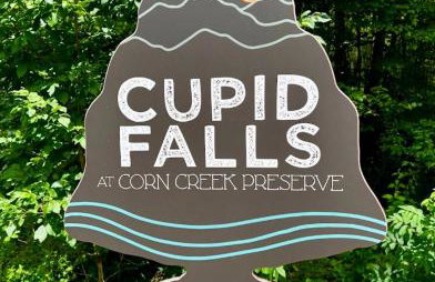 Mountain home, next to a Winery with a fire pit - Foto 5