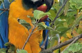 Casa di Leo with pool - Foto 42